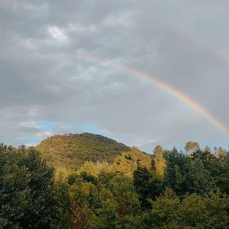 Gite Et Jardin En Bord De Riviere Lägenhet Saumane Exteriör bild