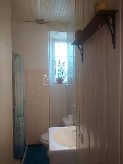 Gite Et Jardin En Bord De Riviere Saumane Exteriör bild