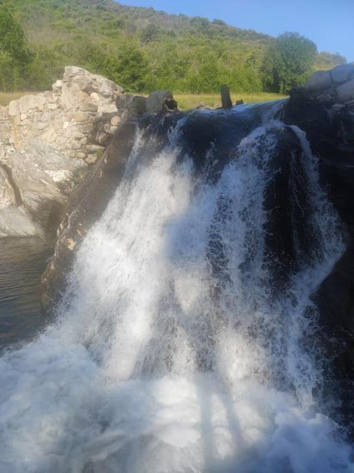 Gite Et Jardin En Bord De Riviere Lägenhet Saumane Exteriör bild