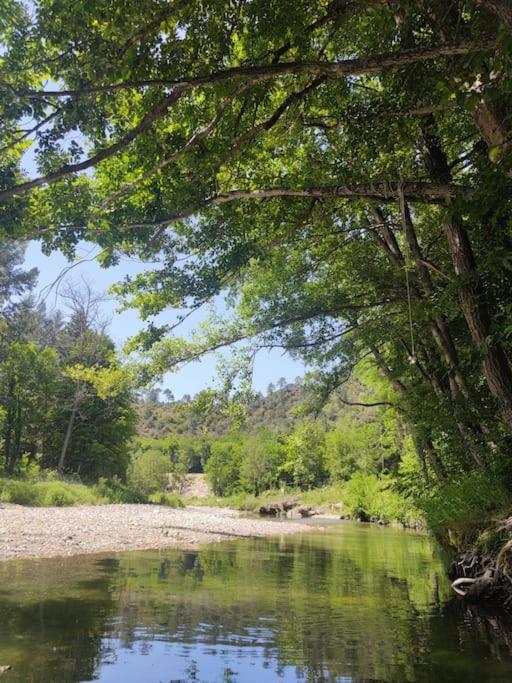 Gite Et Jardin En Bord De Riviere Lägenhet Saumane Exteriör bild