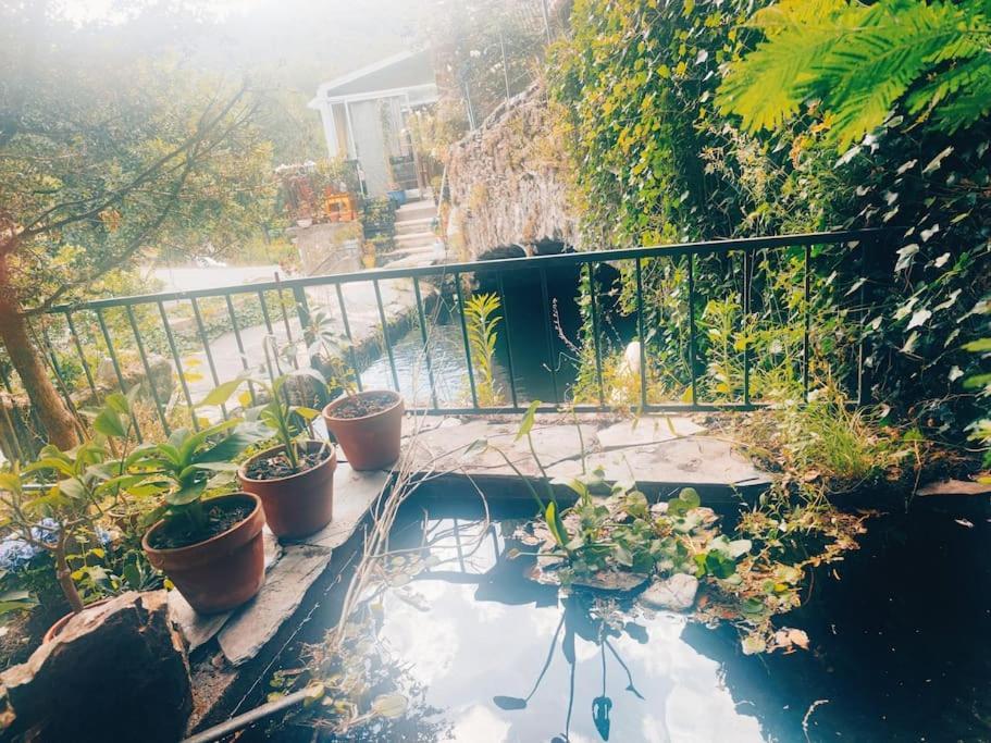 Gite Et Jardin En Bord De Riviere Saumane Exteriör bild