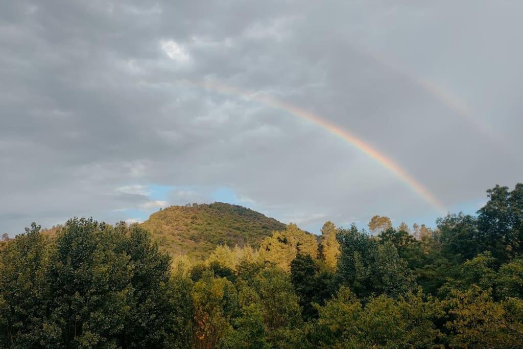 Gite Et Jardin En Bord De Riviere Lägenhet Saumane Exteriör bild