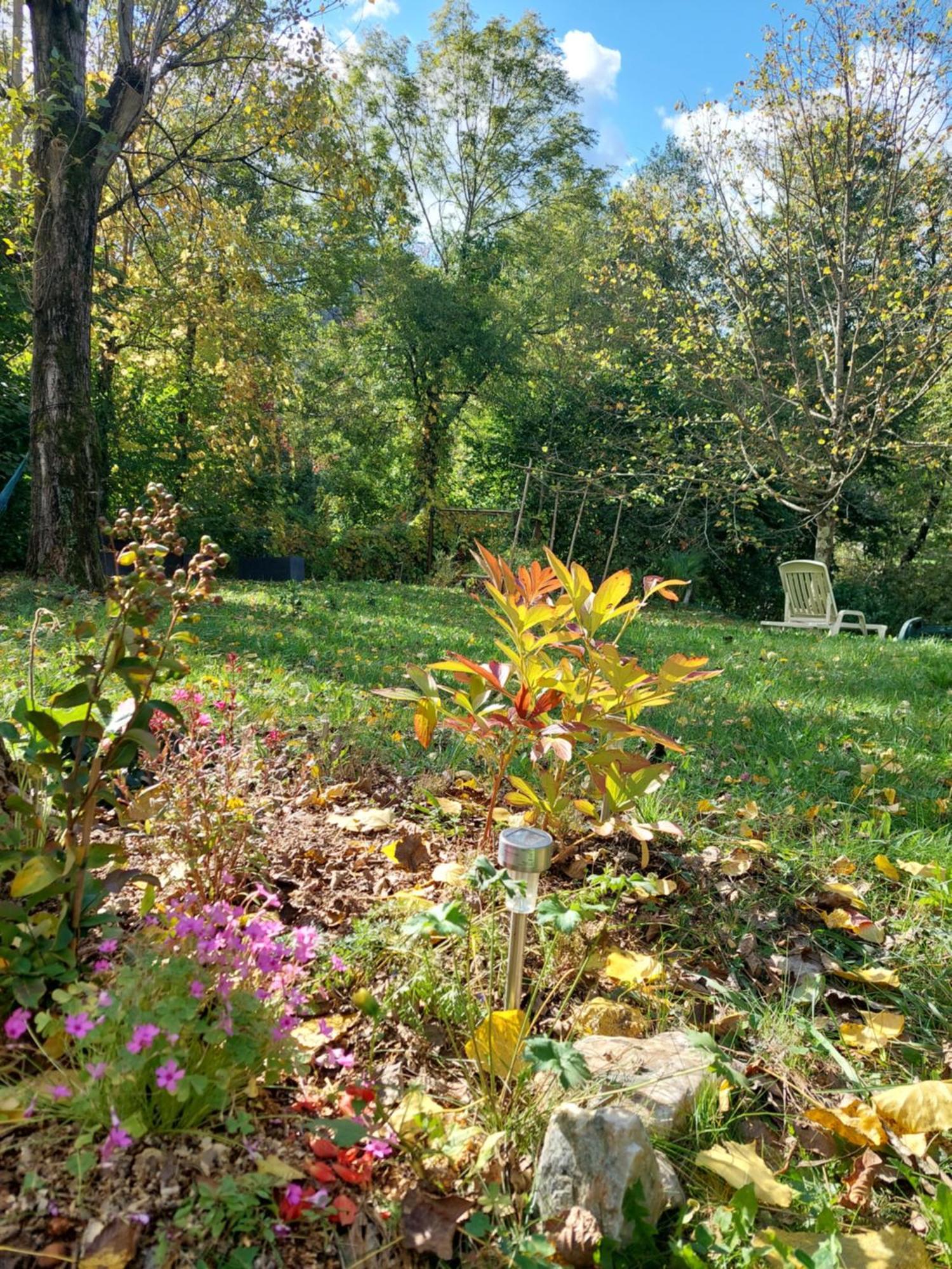 Gite Et Jardin En Bord De Riviere Saumane Exteriör bild