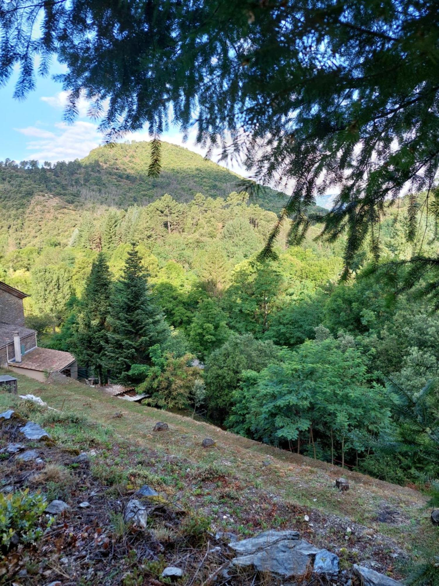 Gite Et Jardin En Bord De Riviere Saumane Exteriör bild